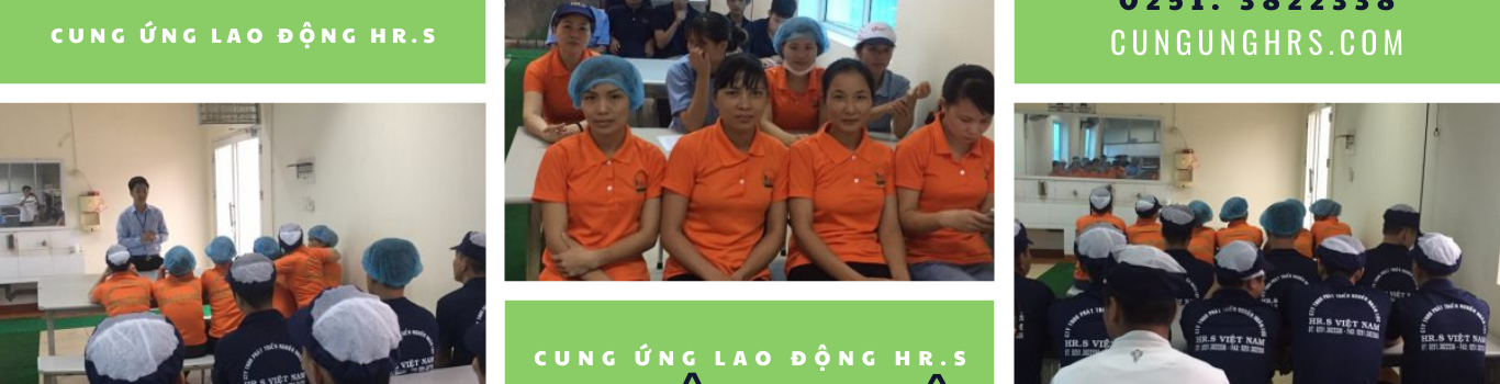 CUNG ỨNG LAO ĐỘNG